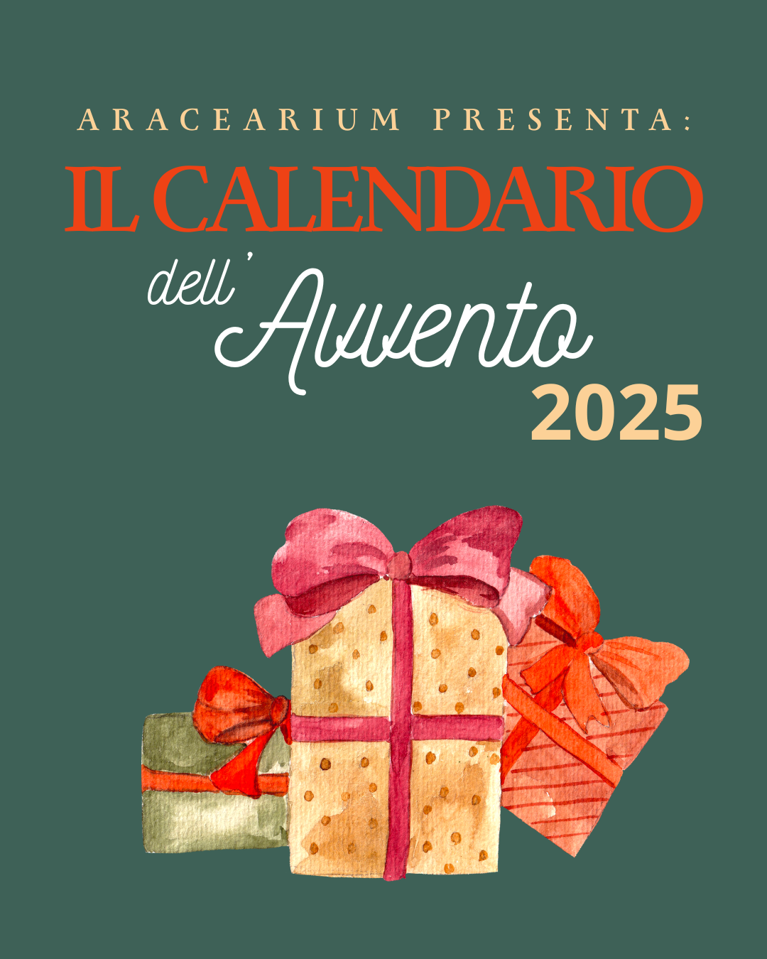 Calendari dell’Avvento Aracearium – edizioni botaniche in tiratura limitata