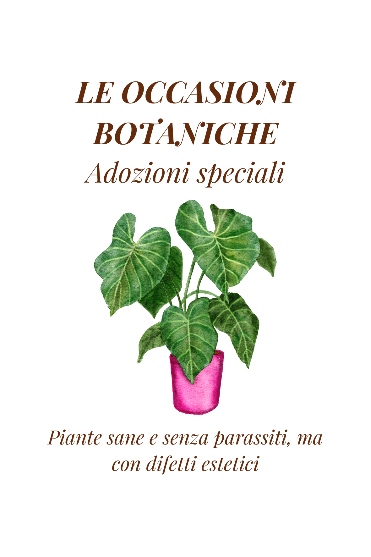 Le Occasioni Botaniche - Adozioni Speciali