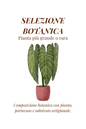 Selezione Botanica | Pianta Araceae grande o rara