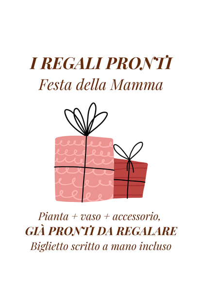 Il regalo pronto per la Festa della Mamma | Aracearium