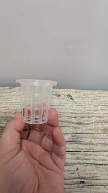 Cestino per Idroponica 5 cm