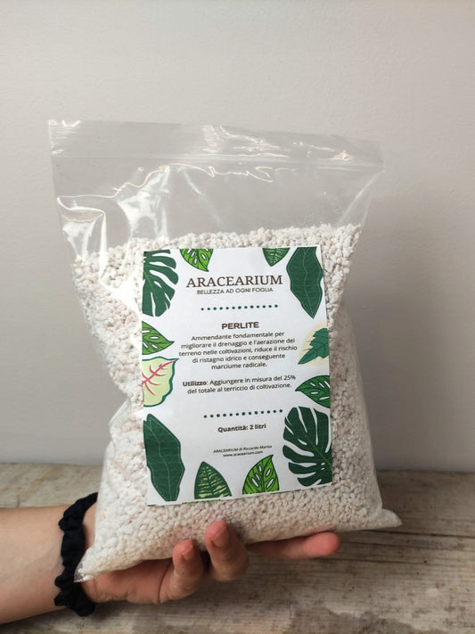 Perlite – Leggerezza e Aerazione per Radici Forti