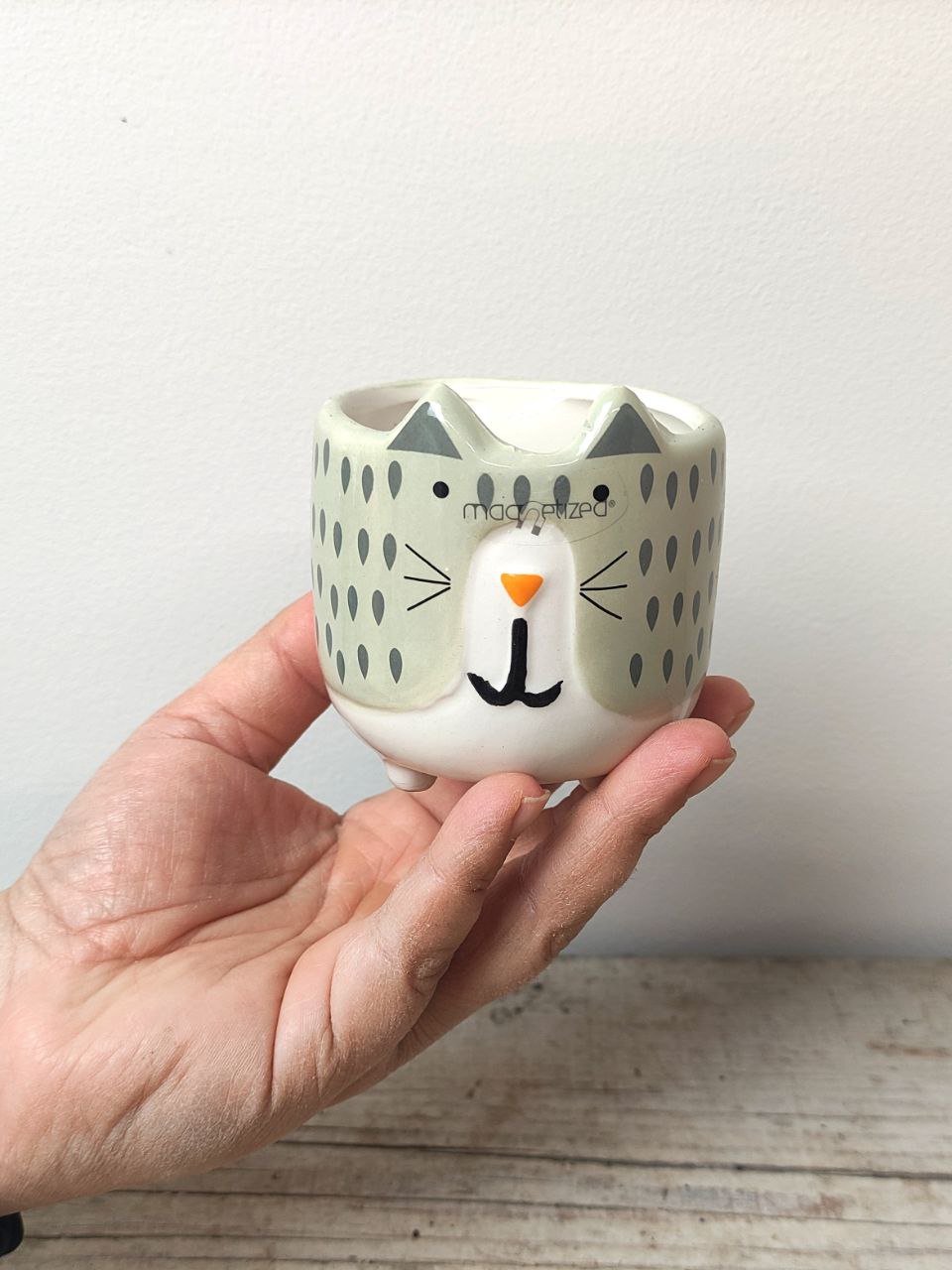 Vaso Magnetizzato a Forma di Gatto