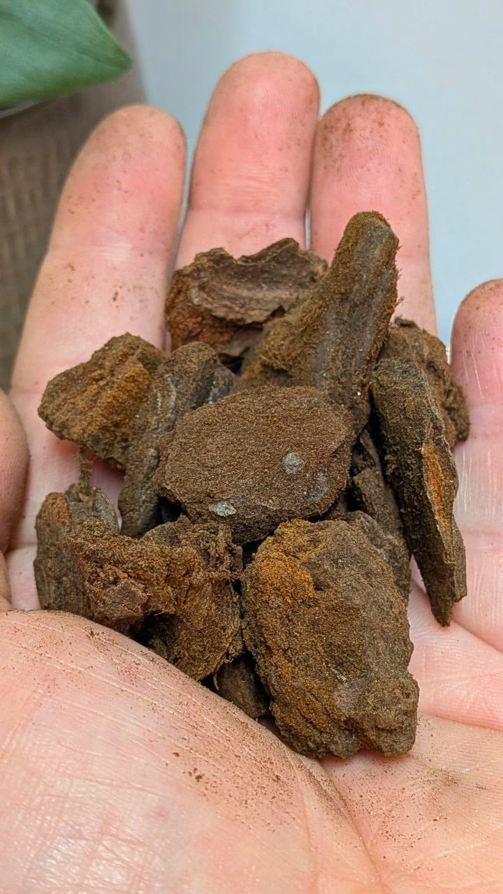 Bark - 2 litri