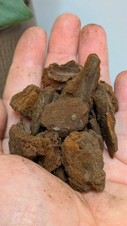 Bark - 2 litri