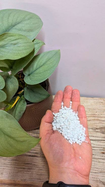 Perlite - 2 litri