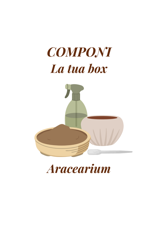 Componi la tua Box Aracearium