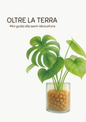 Oltre la terra – Mini guida alla semi-idrocoltura