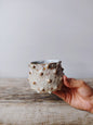 Vaso Ceramica