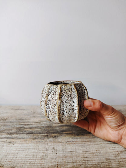 Vaso Ceramica