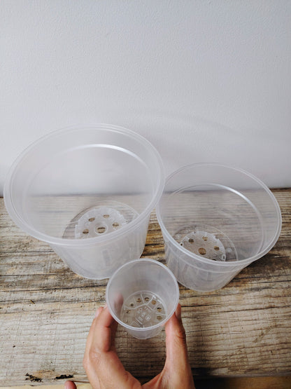 Vaso Trasparente da Coltivazione