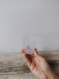 Vaso Trasparente da Coltivazione