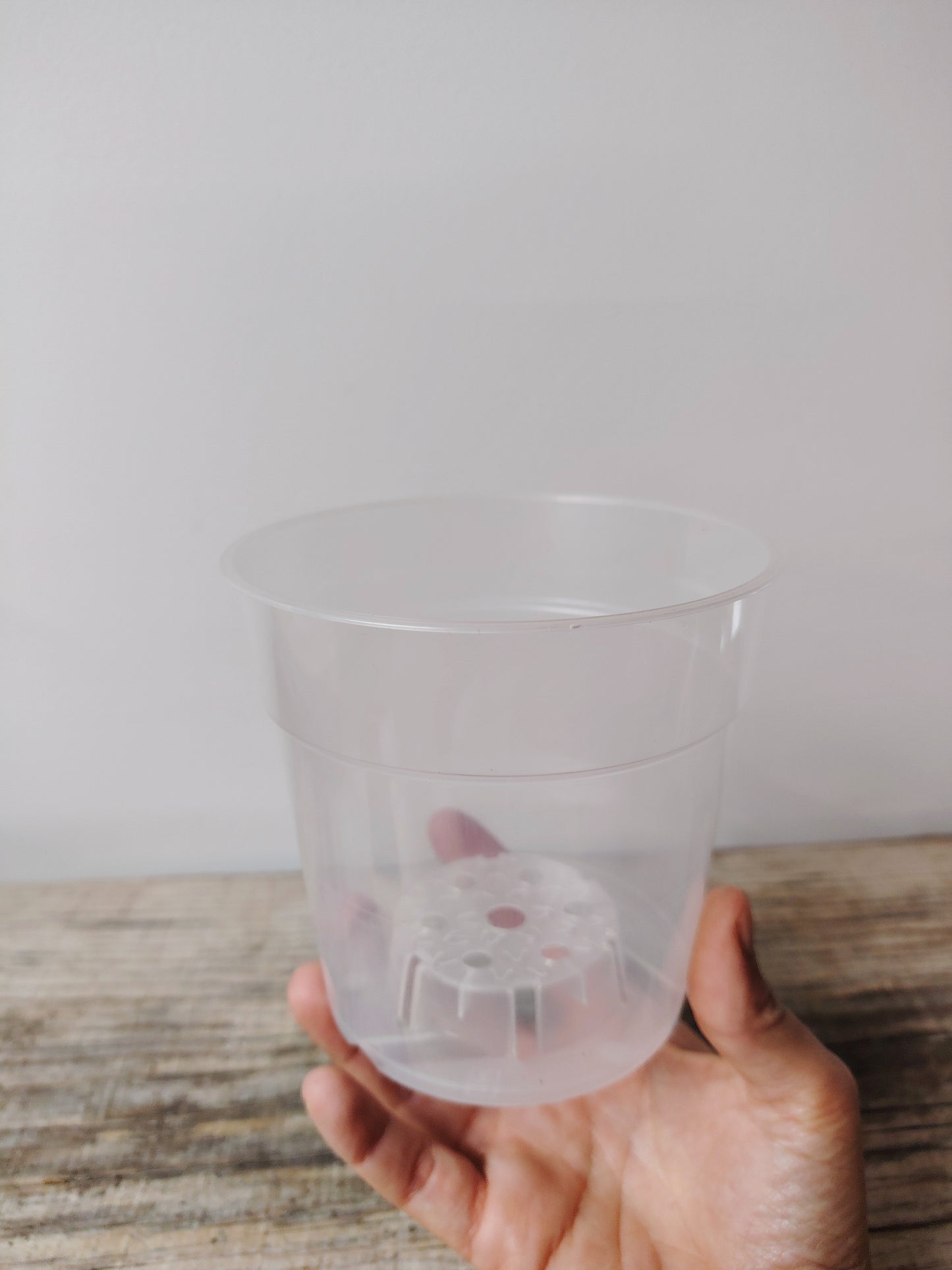 Vaso Trasparente da Coltivazione