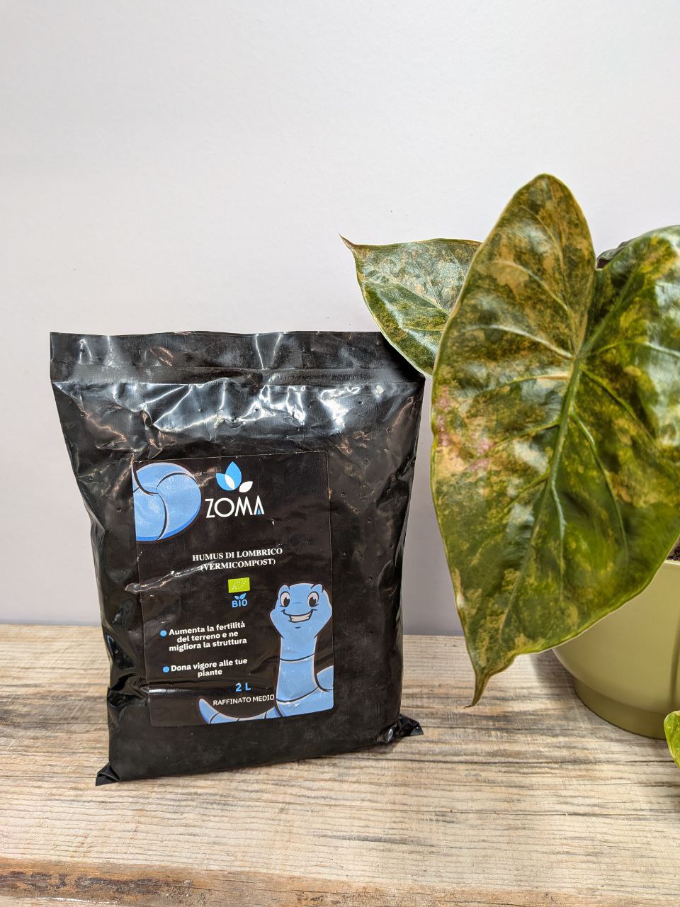 Humus di Lombrico