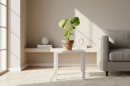 no, ispirati o prendi la mia del sito ed ambientala in una casa