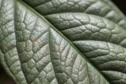 ok, ma ancora più macro! ;-)