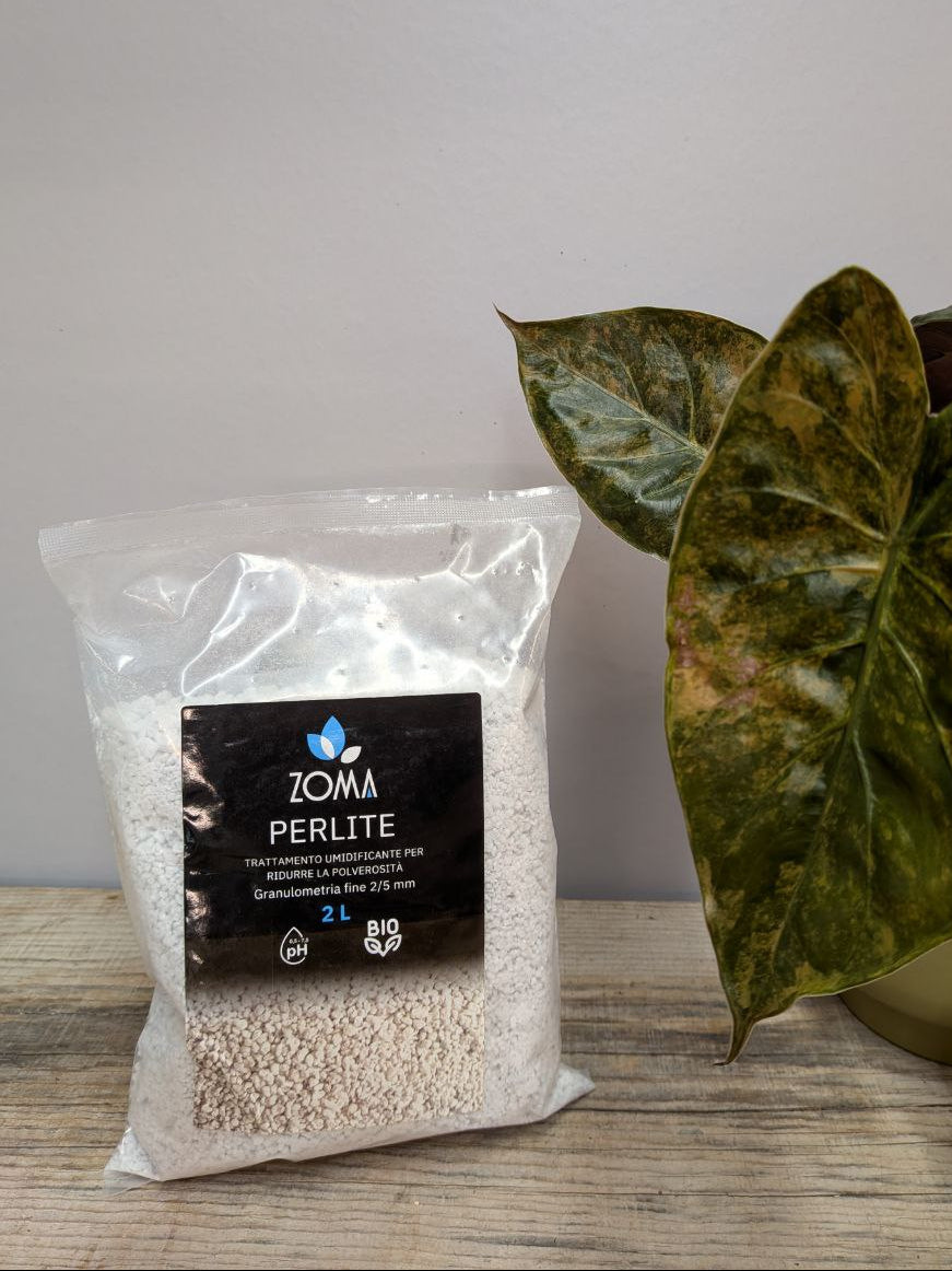 Perlite - 2 litri